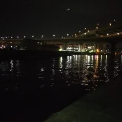 バチシーバス狙い