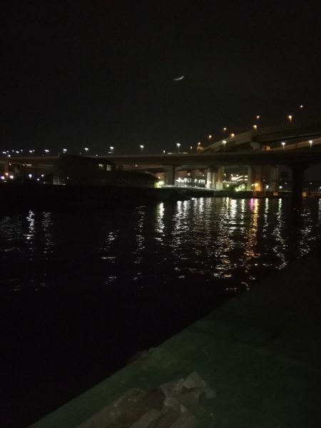 バチシーバス狙い