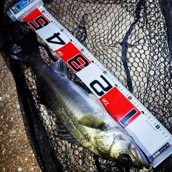 大阪湾奥最前戦