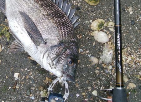 キャスティングキビレゲーム(^^)