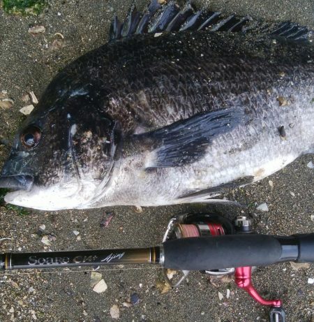 今日も釣り日和(^^)