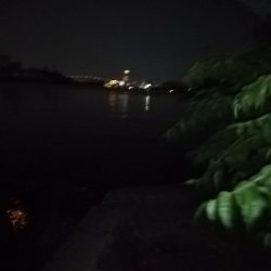 バチ抜けシーバス狙い！