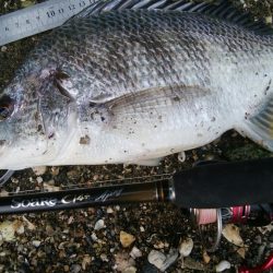 釣り日和(^^)大漁