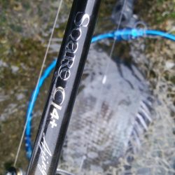 キビレ釣りは楽しい(^^)