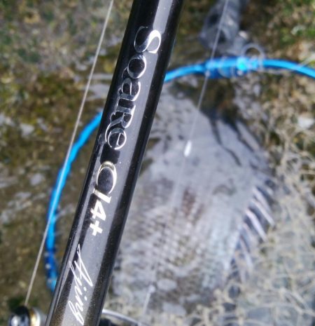 キビレ釣りは楽しい(^^)