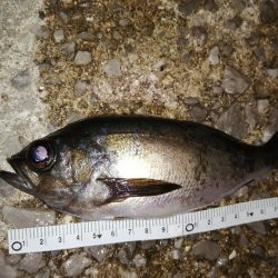 厳しい中でもなんとか