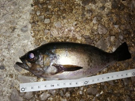 厳しい中でもなんとか