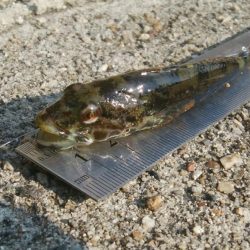 (^^)夏気分!海が気持ち良い(^^)