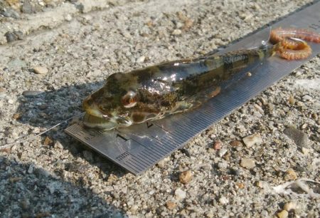 (^^)夏気分!海が気持ち良い(^^)