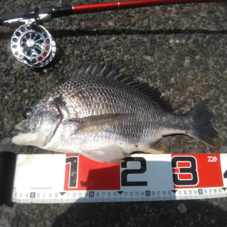 朝からかくれんぼ