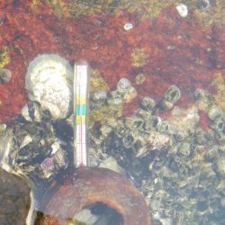 ハゼ釣り日和(@^▽^@)