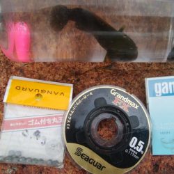 (^^)過ごしやすい釣り日和