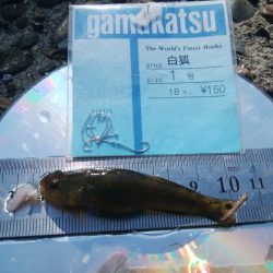 今日も釣り日和(^^)