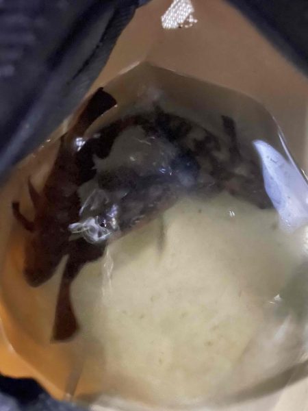 癒しのメバリング