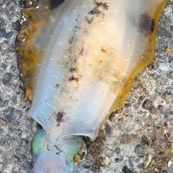 釣れない雰囲気の中