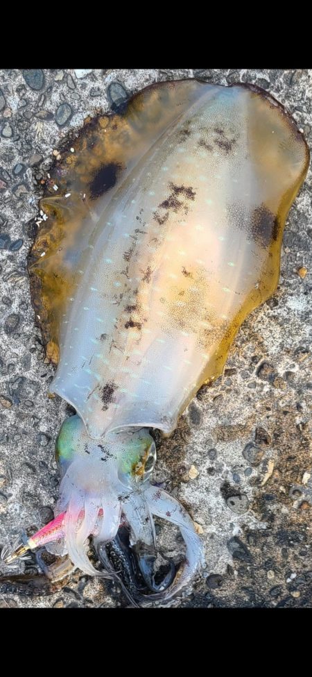 釣れない雰囲気の中
