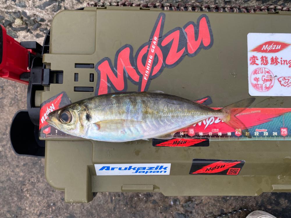 釣れないけど楽しい時間