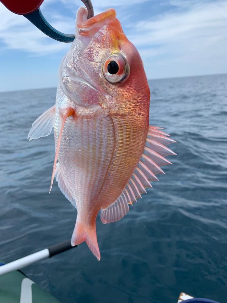 マイボートでアマダイ狙い