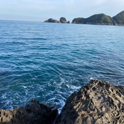 ジグパラスロー