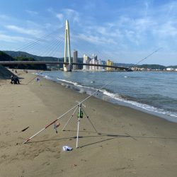 和歌山県キス釣り