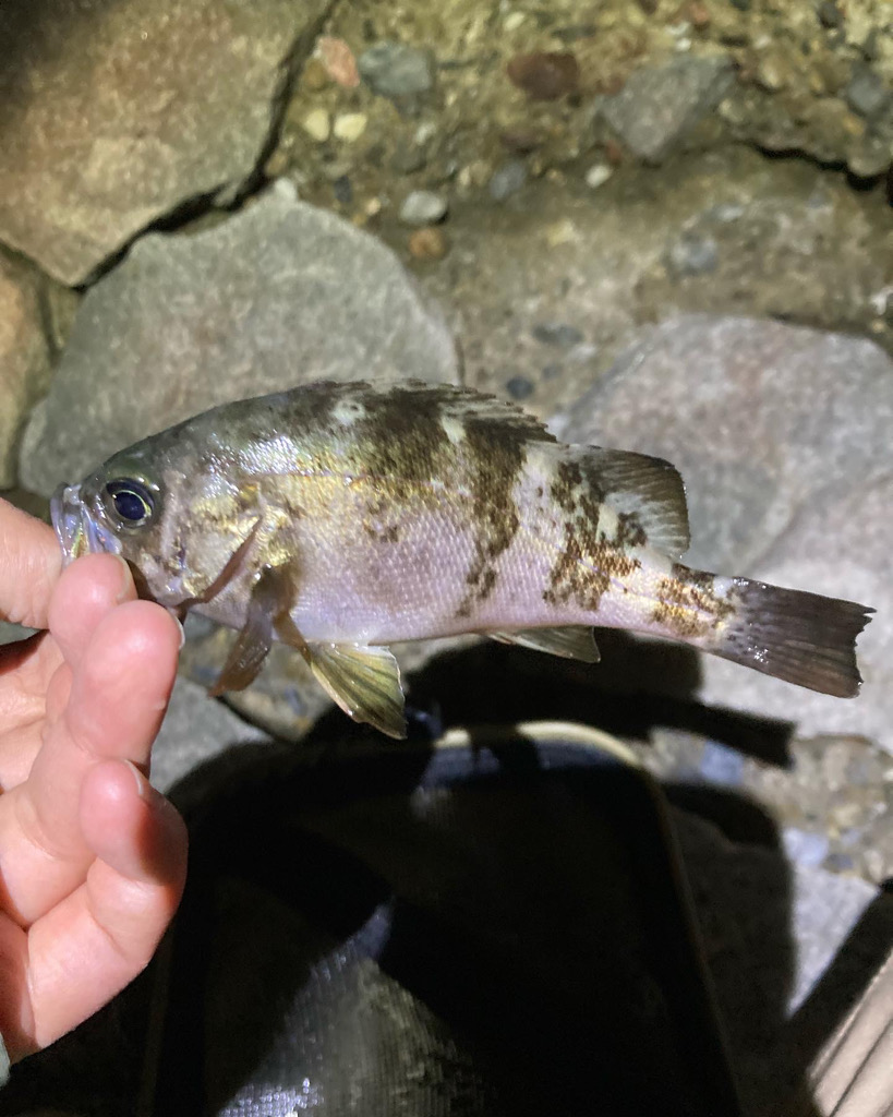 フロート難しい