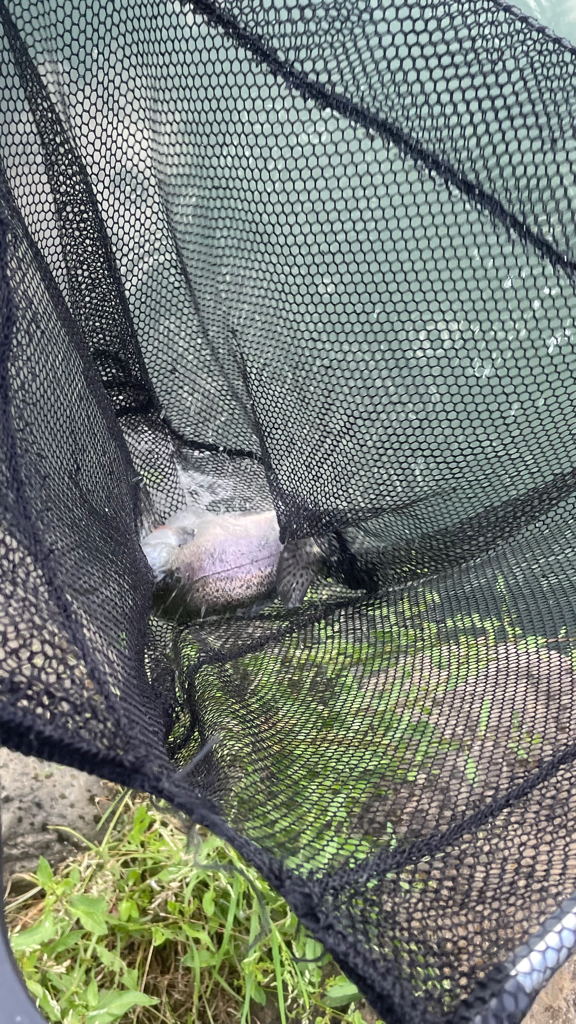 まだまだ経験不足