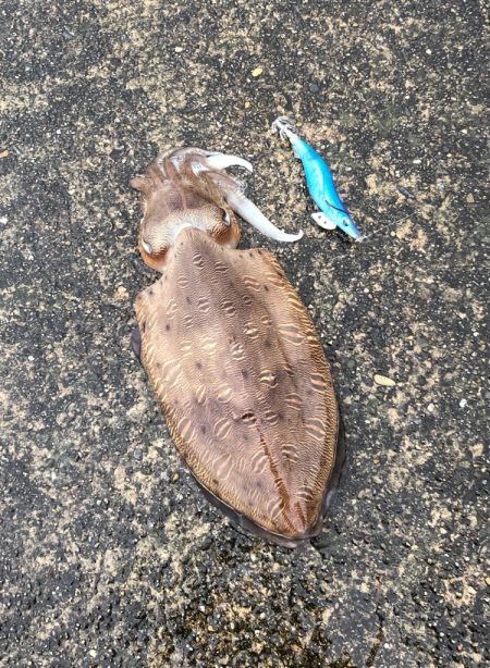 キロアップですが……