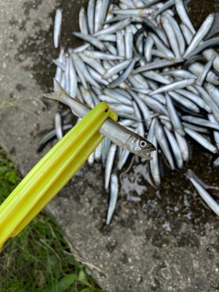 マキエダブルプレー!?