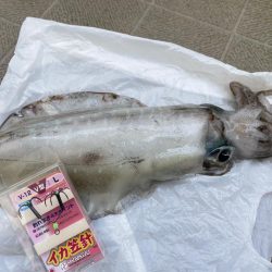 ボートから春イカ狙って
