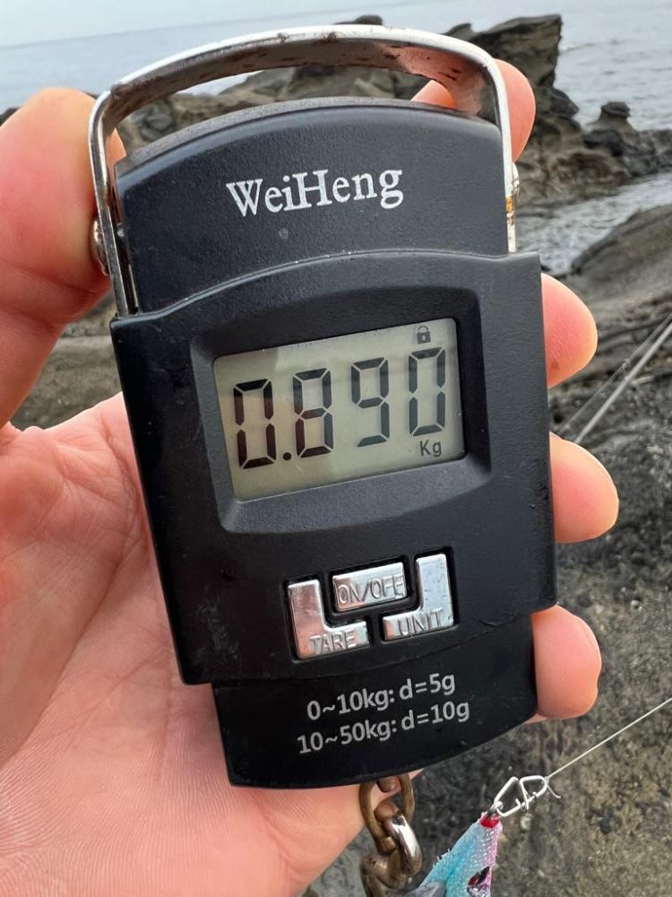 やっと春が来た。