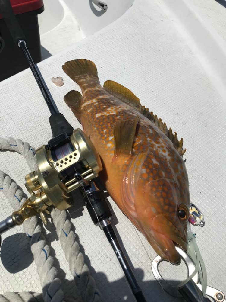 鳥取沖で、ネギング