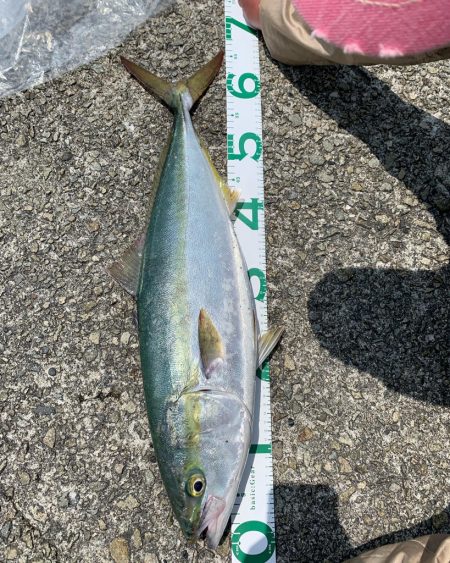 令和４年初メジロ