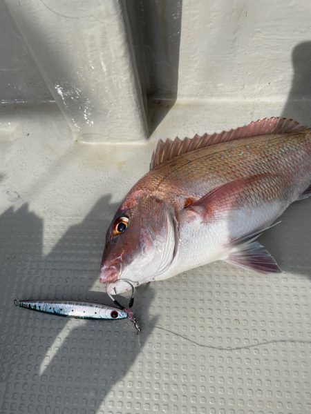 丹後沖ジギング