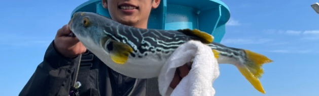 人生初青物…とデカフグ