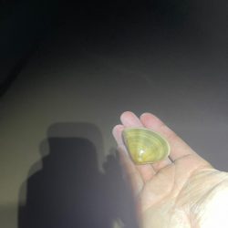 マニックは優秀