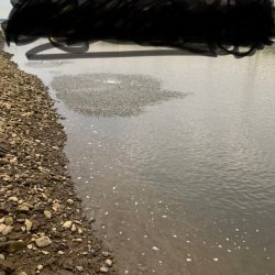 ハクパターン攻略