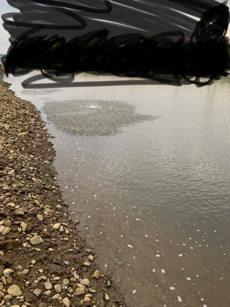 ハクパターン攻略