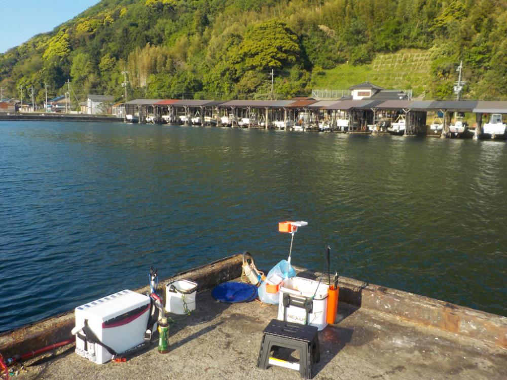 起死回生の日本海初グレ