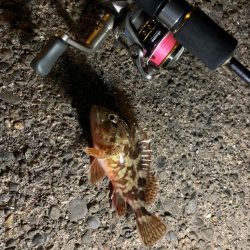 子供の楽園でした