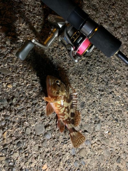 子供の楽園でした