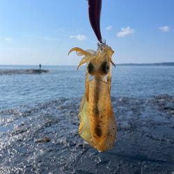 とりあえず一杯