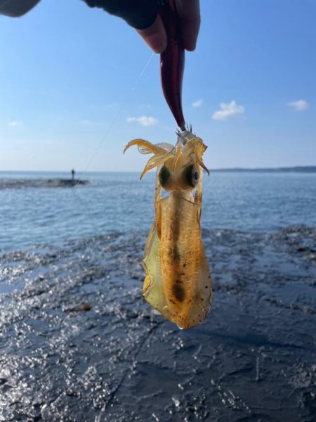 とりあえず一杯