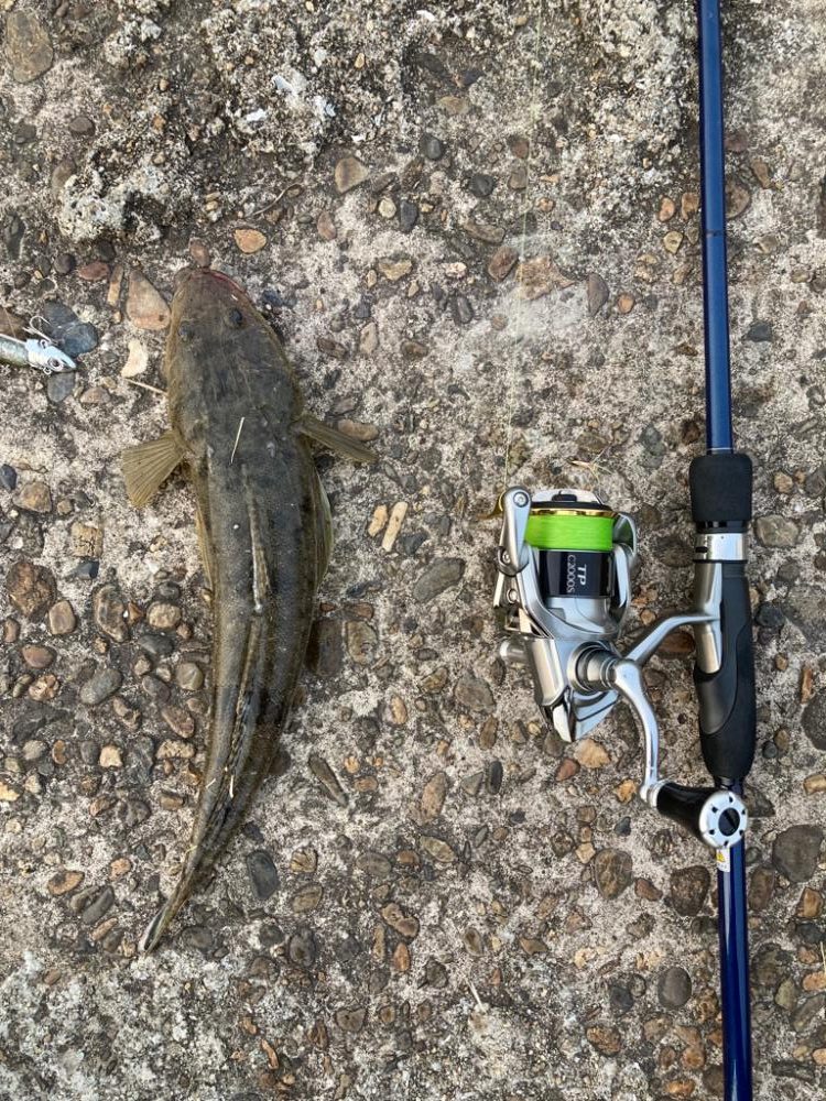 大本命✨だけどちっさ