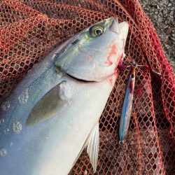 久しぶりのジギングゲーム！