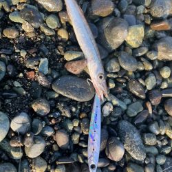 マイクロスリムジグ