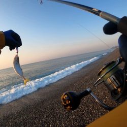 ついにこの季節がきました♪