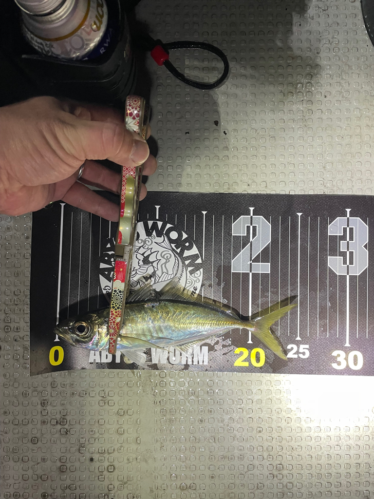 初ボートアジング