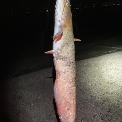 バズジェットで