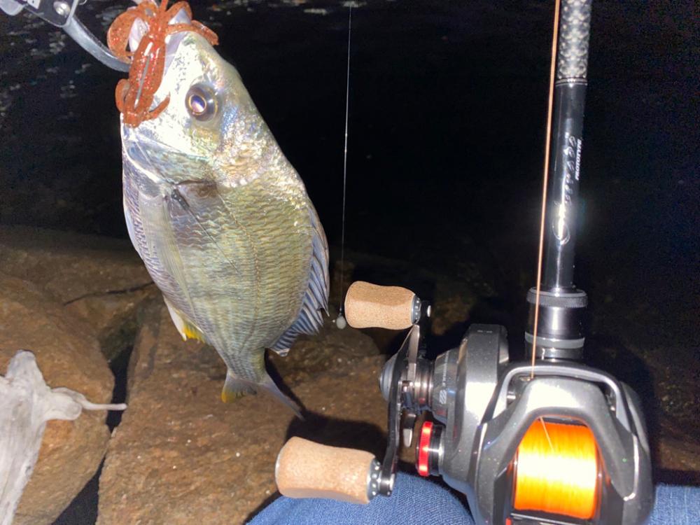 花火大会直後でも釣れる