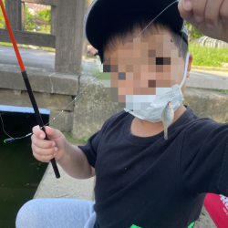 親子でタナゴ釣り